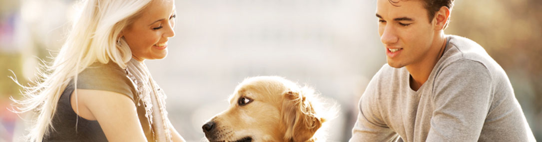 Melbourne Allergy Testing